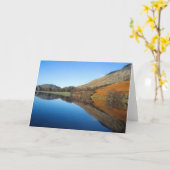 バターメア カード (黄色い花)