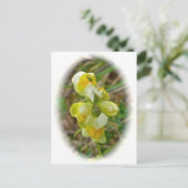 バター&エッグス・ワイルドフラワー ポストカード (スタンド正面)