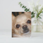 バター ポストカード (スタンド正面)