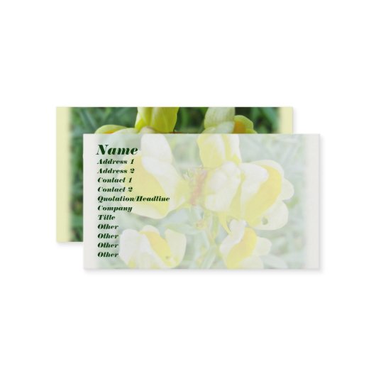 バター'nエッグワイルドフラワー名刺 名刺 (正面/裏面インサイチュ)