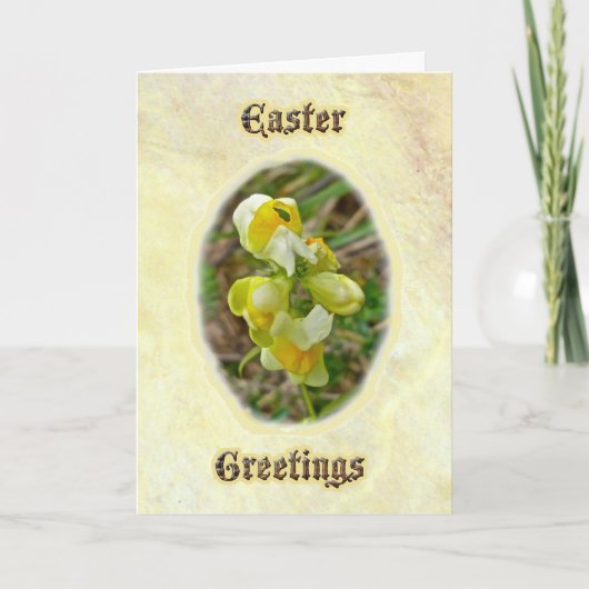 バター'n卵イースターグリーティングカード シーズンカード (正面)
