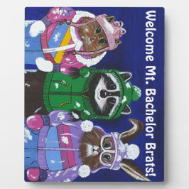 バチェラーブラッツ山 フォトプラーク