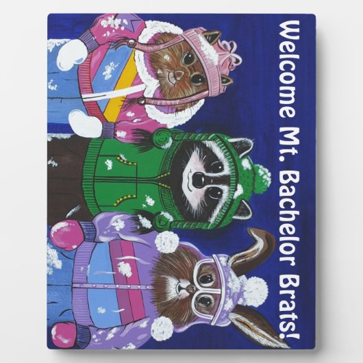 バチェラーブラッツ山 フォトプラーク (正面)