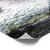 バチュラトルポスター ポスター (角)