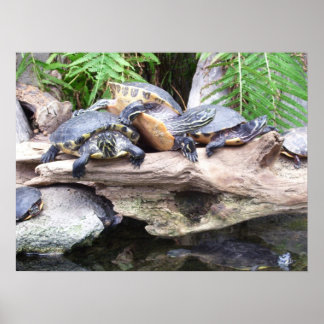 バチュラトルポスター ポスター