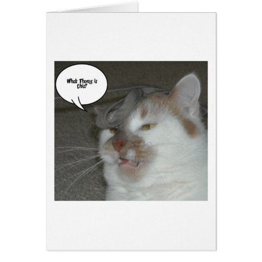 バチュラーパーティユーモア (正面)