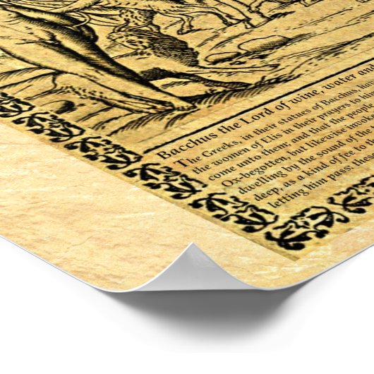 バッカス ポスター (角)