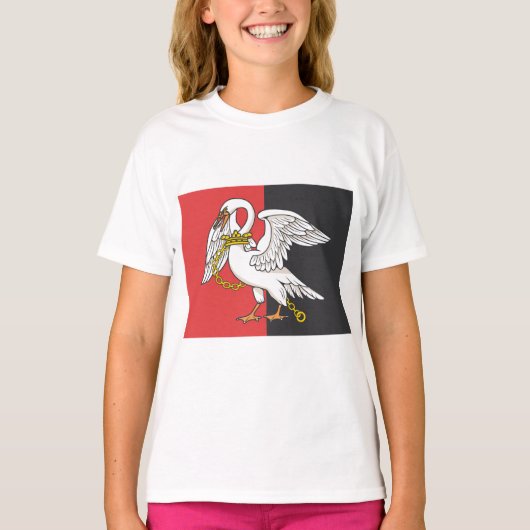バッキンガムシャー州旗 (イギリスのカウンティ) Tシャツ (正面)