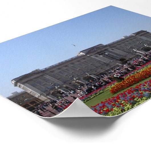 バッキンガム ポスター (角)