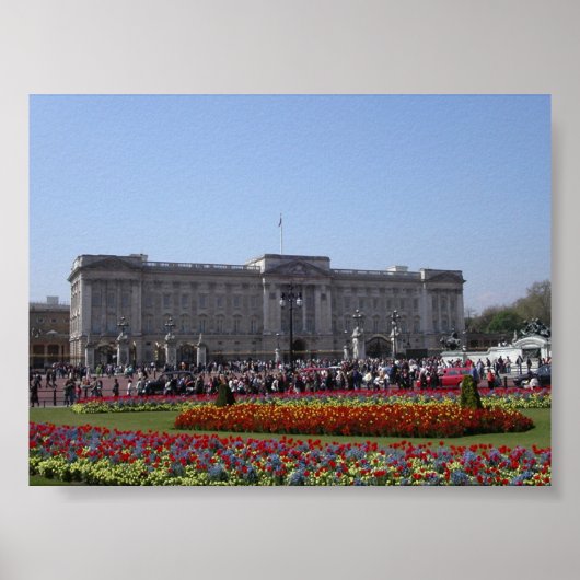バッキンガム ポスター (正面)