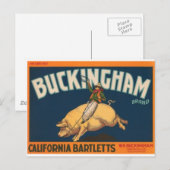 バッキンガム ポストカード (正面/裏面)