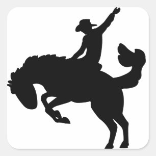 バッキングブロンコライダー スクエアシール