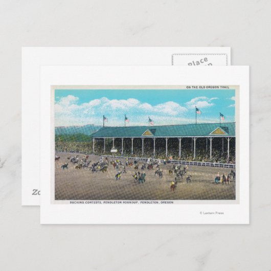 バッキング・コンテストの表示 ポストカード (正面/裏面)