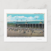 バッキング・コンテストの表示 ポストカード (正面)