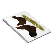 バッキーチキン ノートブック (右側)