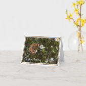 バッキーバタフライ誕生日グリーティングカード カード (黄色い花)