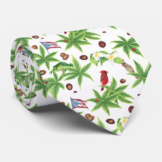 バッキー州タイ ネクタイ (ロール)