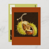 バッキー葉書 ポストカード (正面/裏面)