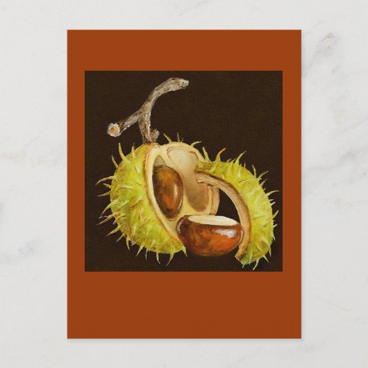 バッキー葉書 ポストカード (正面)