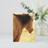 バックおもしろいスキン ポストカード (スタンド正面)