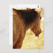 バックおもしろいスキン ポストカード (正面/裏面)