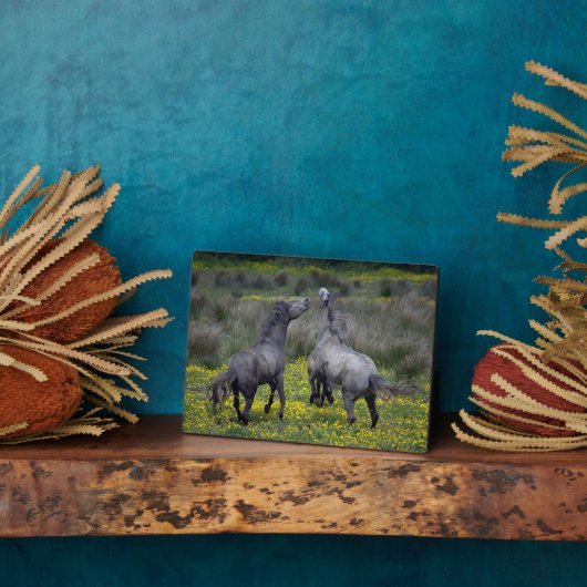 バックとバック遊の2頭 フォトプラーク (側面)