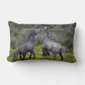 バックとバック遊の2頭 ランバークッション (正面)