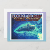 バックアイランドリーフ – ヴァージン諸島統一された州 ポストカード (正面/裏面)