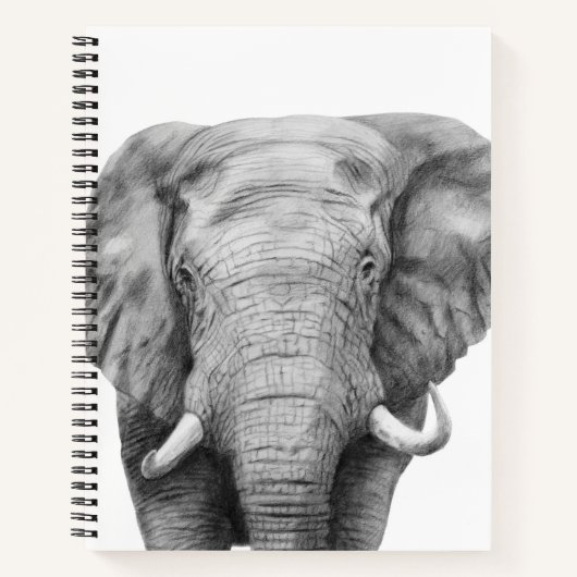 バックアッププランIV ノートブック (正面)