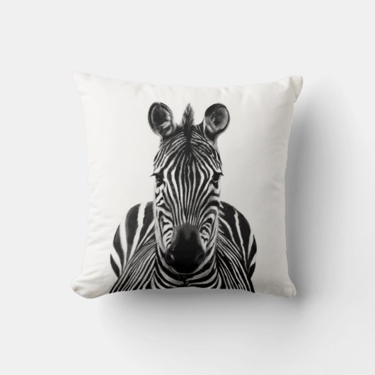 バックアップ計画III クッション (正面)