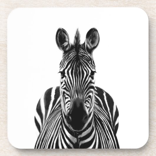 バックアップ計画III コースター (正面)