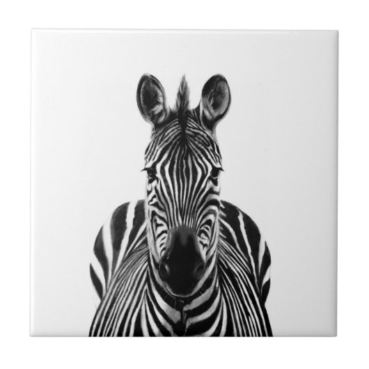 バックアップ計画III タイル (正面)