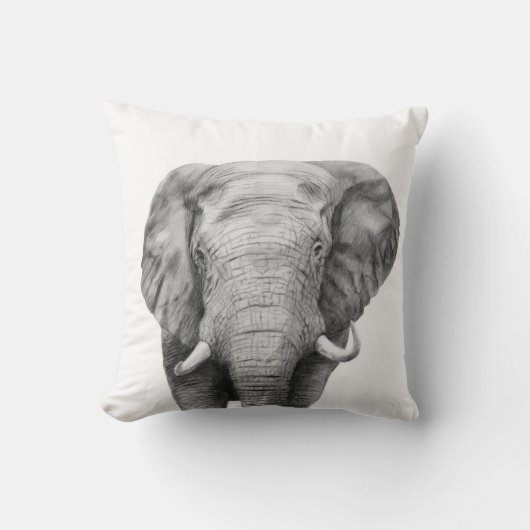 バックアップ計画IV クッション (正面)