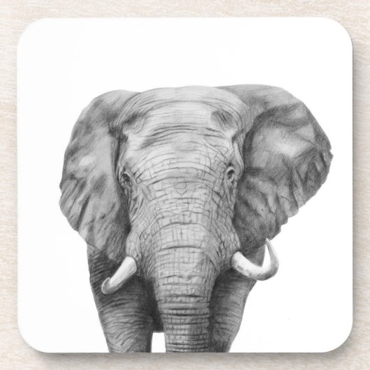 バックアップ計画IV コースター (正面)