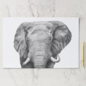 バックアップ計画IV ペーパーパッド (インサイチュ)