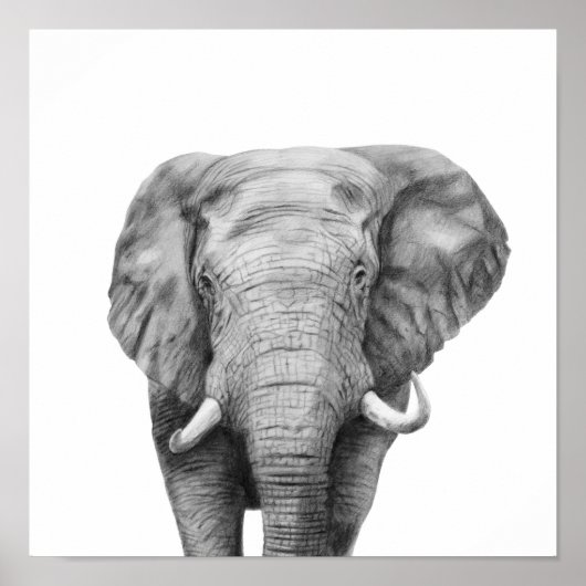 バックアップ計画IV ポスター (正面)