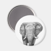 バックアップ計画IV マグネット (正面/裏面)