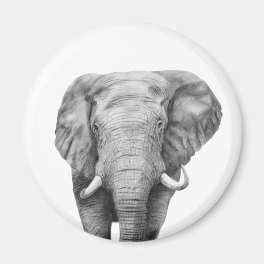 バックアップ計画IV マグネット (正面)