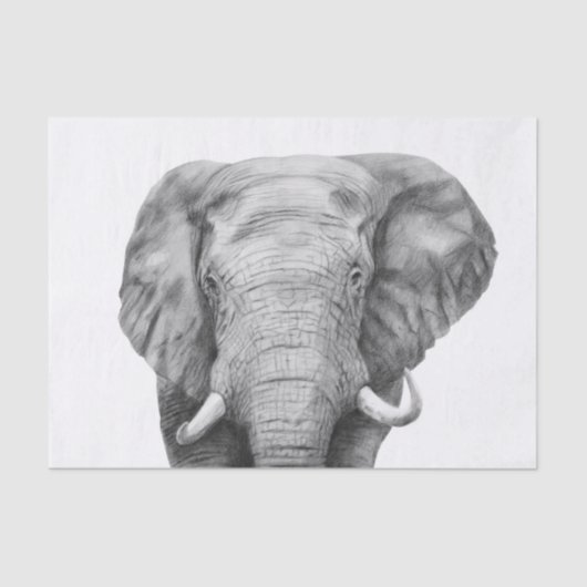 バックアップ計画IV 薄葉紙 (正面)