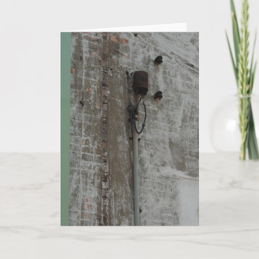 バックアリー カード (正面)