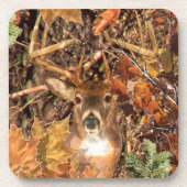 バックインハンター迷彩柄ホワイトテール鹿 コースター (正面)