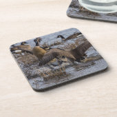 バックオフ コースター (左側)