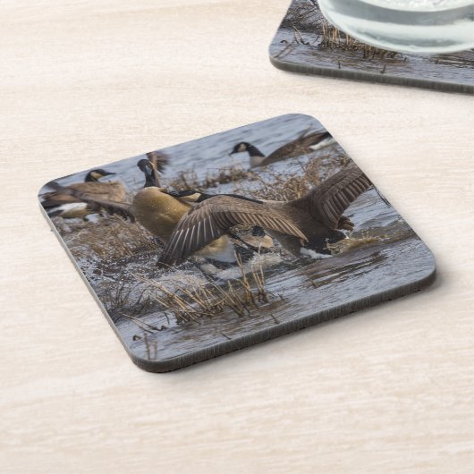 バックオフ コースター (左側)