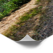 バックカントリーロードスルー春カノーラフィールド ポスター (角)