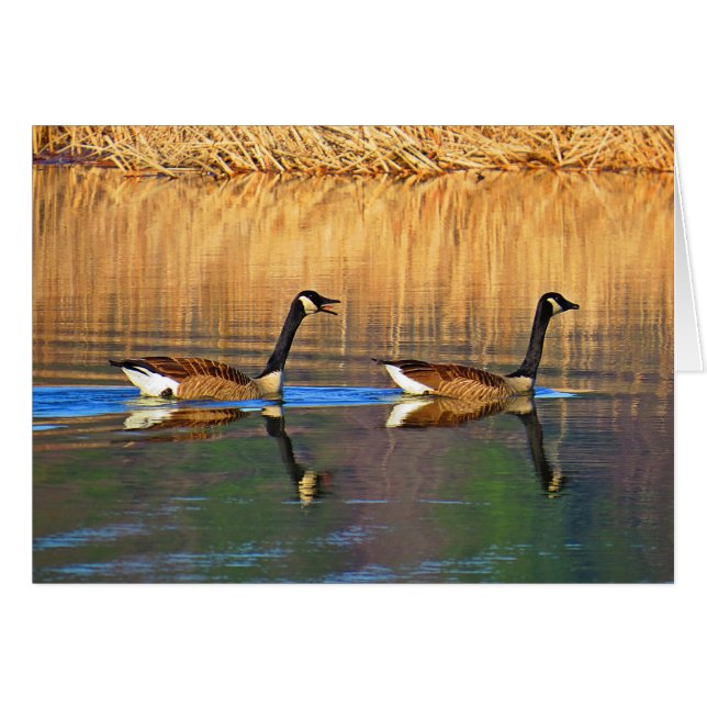 バックシートドライバ (正面横)