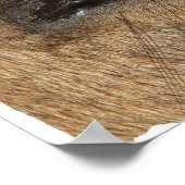 バックスキンの目 ポスター (角)