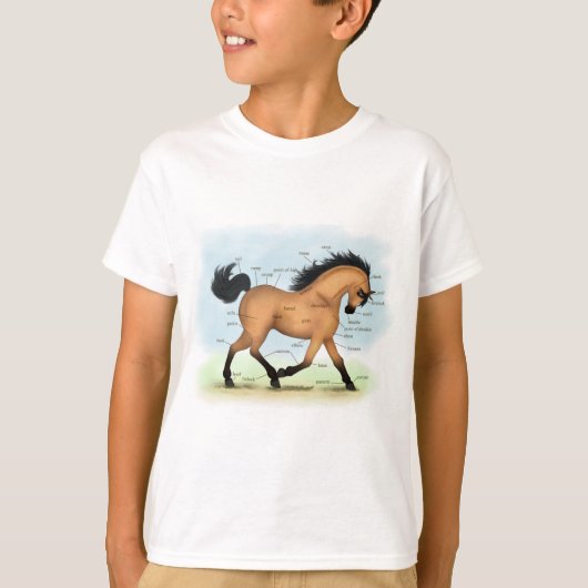 バックスキンの馬の教育用ウマ科の解剖学 Tシャツ (正面)