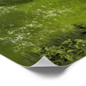 バックスキンアパロオサホース ポスター (角)