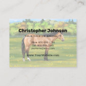 バックスキンダンクォーターホース 名刺 (裏面)