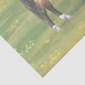 バックスキンダンクォーターホース 薄葉紙 (詳細)